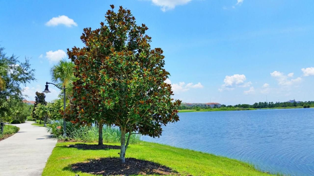 Luxury Vacation In This Gorgeous Vista Cay Condo Кисими Екстериор снимка